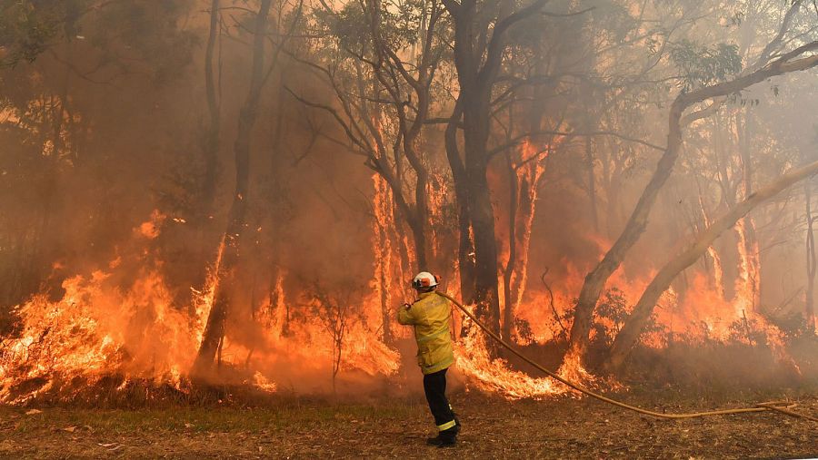 Desde noviembre, los fuegos ya han quemado una superficie mayor que Galicia. 