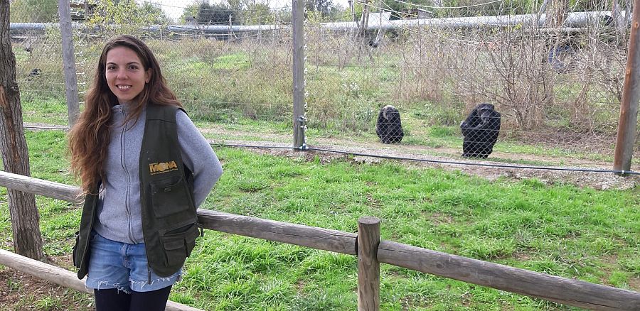 Institucions acadèmiques vinculades a l'Erasmus, dijous a 'Jo soc Erasmus'