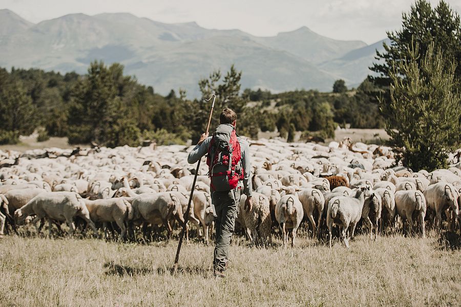 El joven pastor Zacarías, conducirá el programa mientras lleva a sus ovejas por el Pirineo aragonés