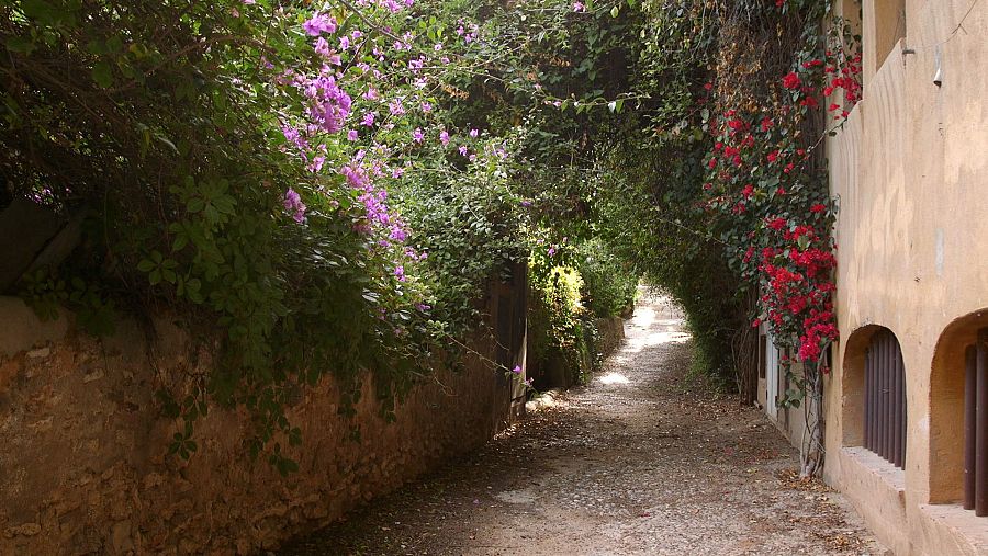 Un tram del carrer de Montserrat amb molta vegetació i flors