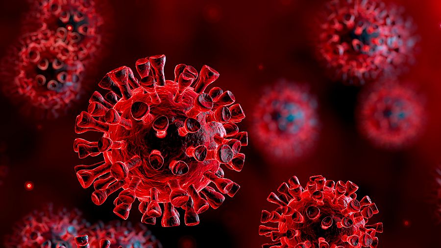 Coronavirus - ¿Disminuirán los contagios de coronavirus con la llegada del  buen tiempo? - RTVE.es