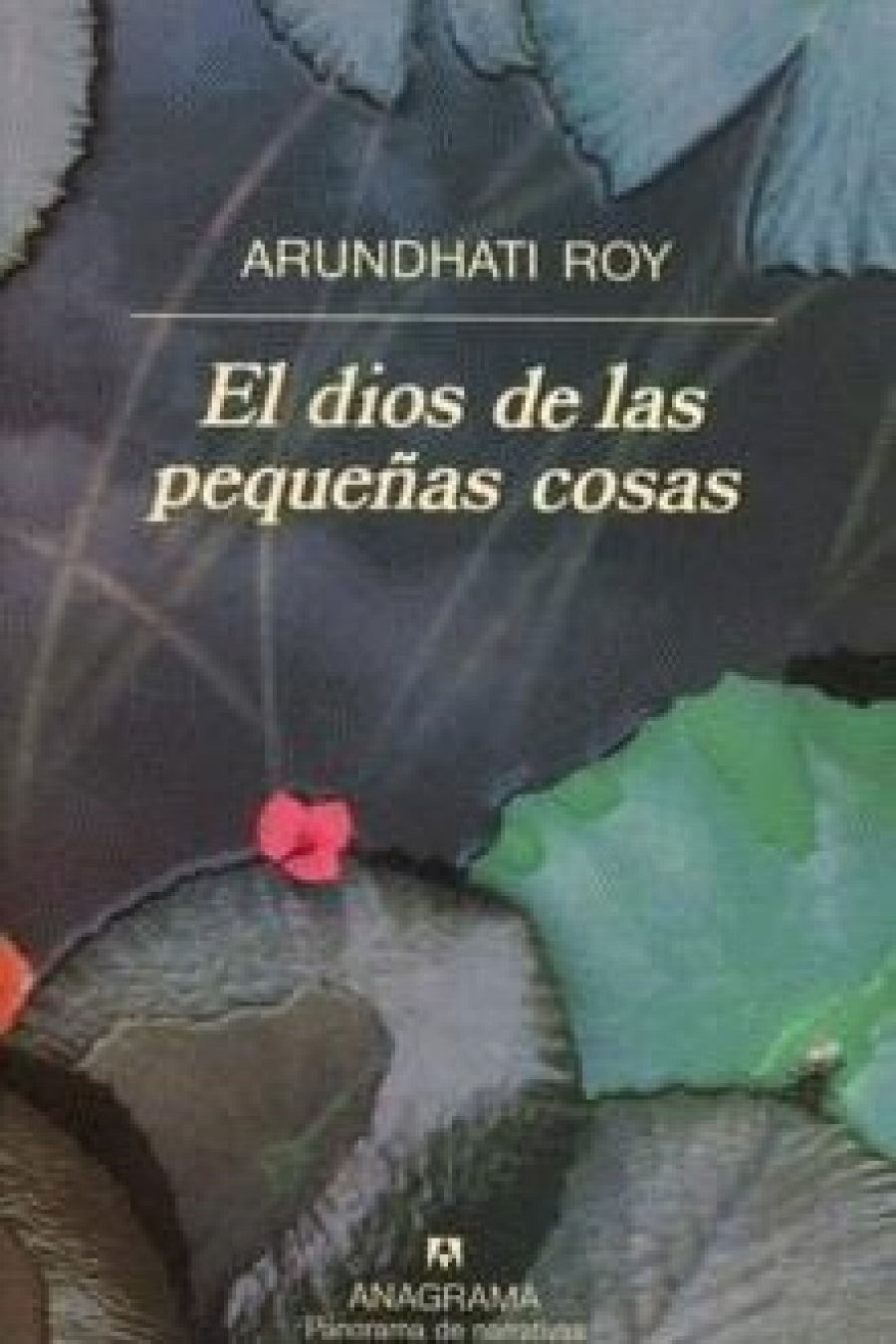 Arundhati Roy, 