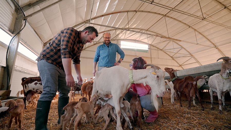 Otra imagen de Ruralitas, un recorrido por la vida del campo