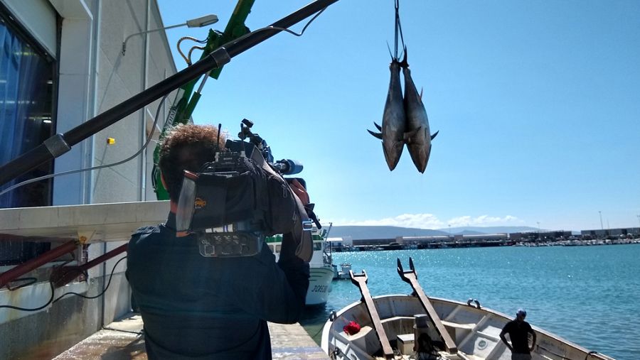 Atúnes de almadraba