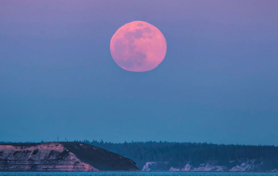 La luna y las mareas vivas