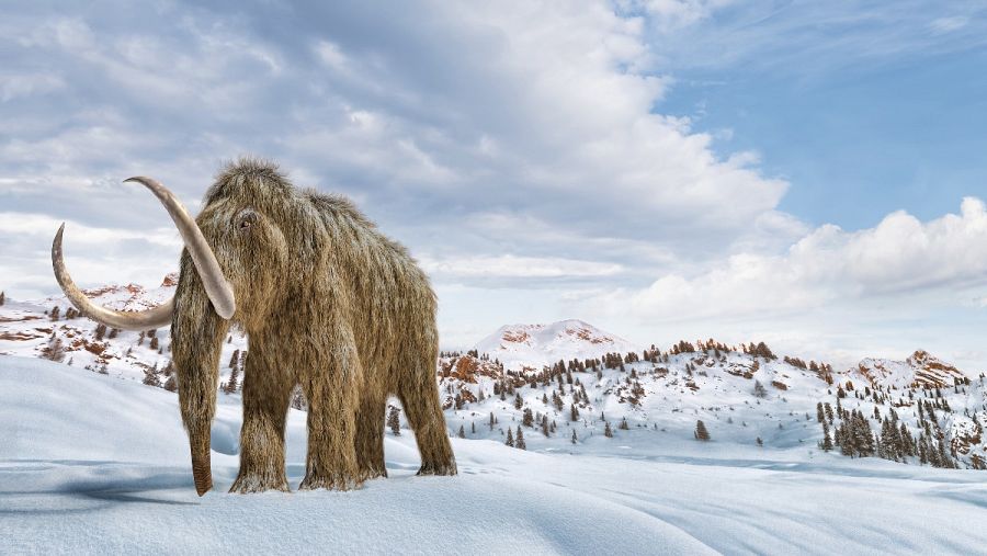 Una infografía de un mamut caminando por un paisaje nevado