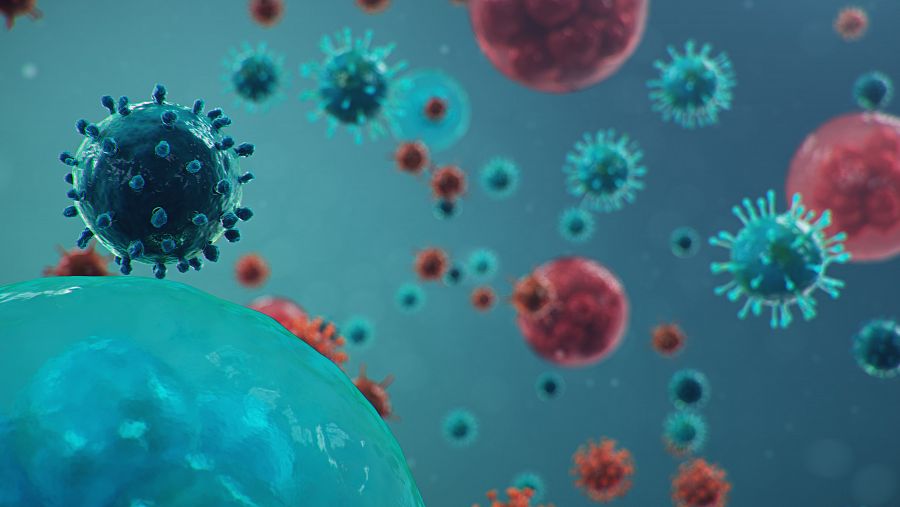 Casi un 40% de los individuos estudiados tenían una reactividad importante de células T frente al nuevo coronavirus.