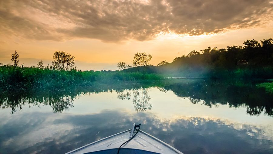 La biodiversidad es la base que sustenta la vida, y tiene relación con todos los aspectos de la salud humana.