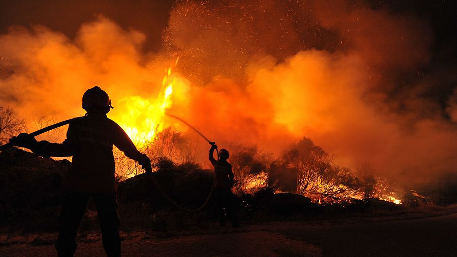 En los últimos meses, el mundo ha sufrido eventos catastróficos, como incendios devastadores o ahora la pandemia de COVID-19.