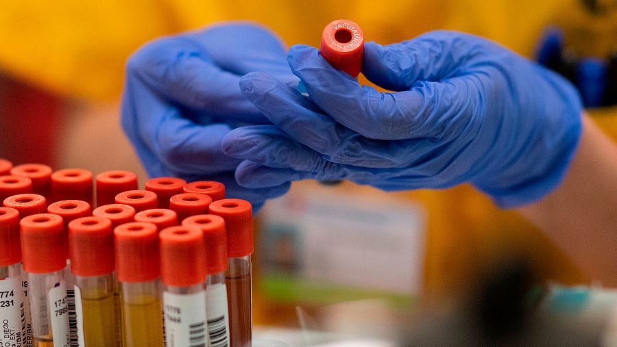 El daño que causa un virus también depende de los conocidos como 