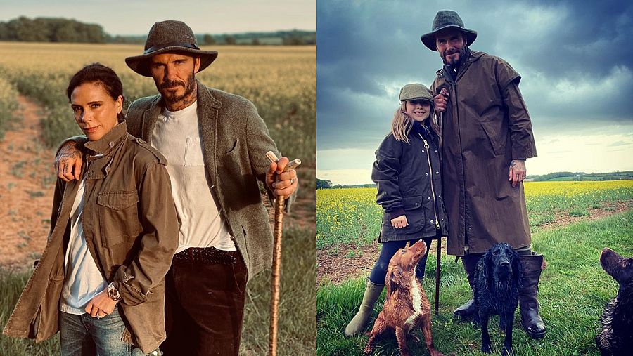 David Beckham junto a Victoria, Harper y sus tres Cocker spaniel