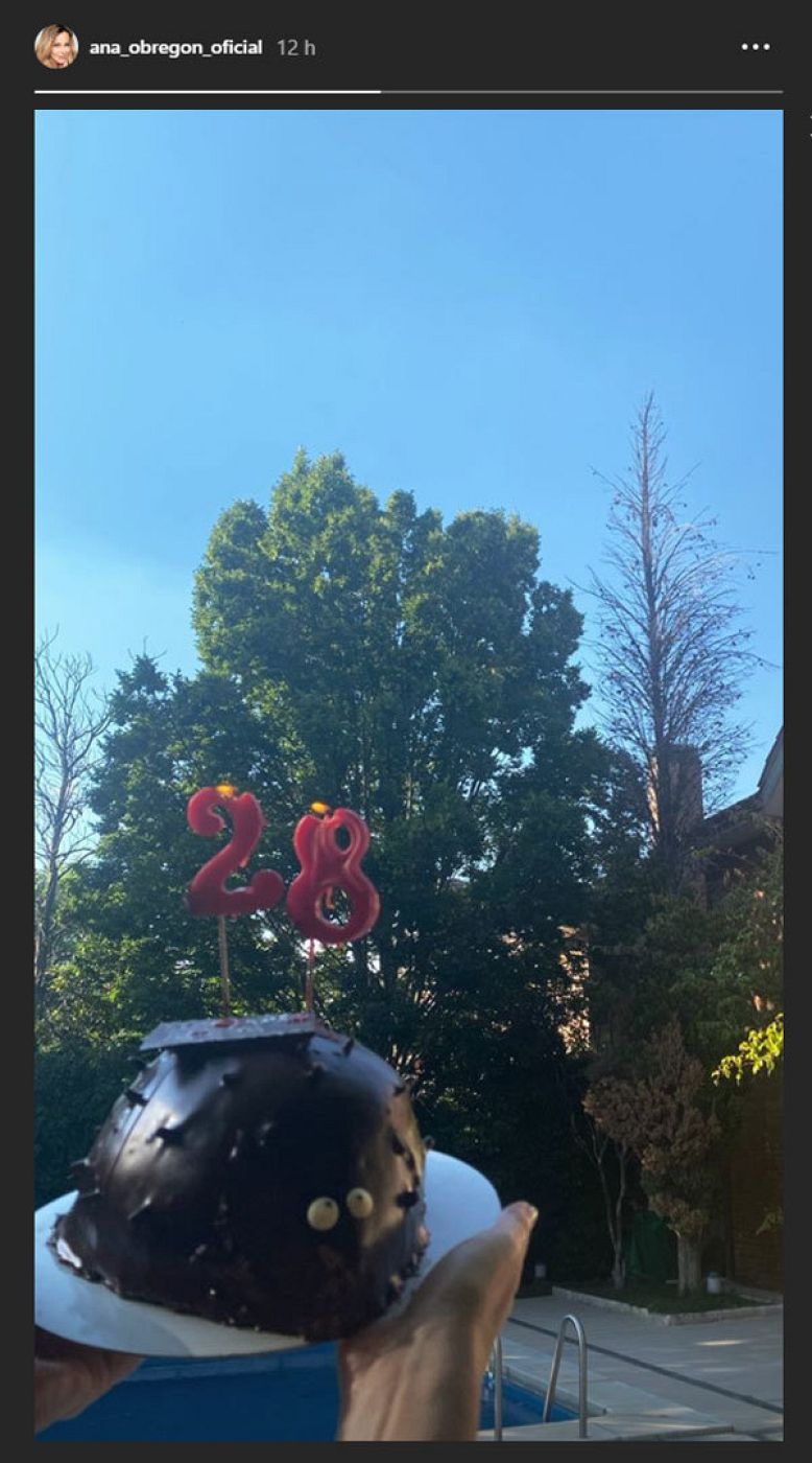 Ana Obregón ha preparado una tarta con velas en el día que su hijo, Álex Lequio, hubiera cumplido 28 años