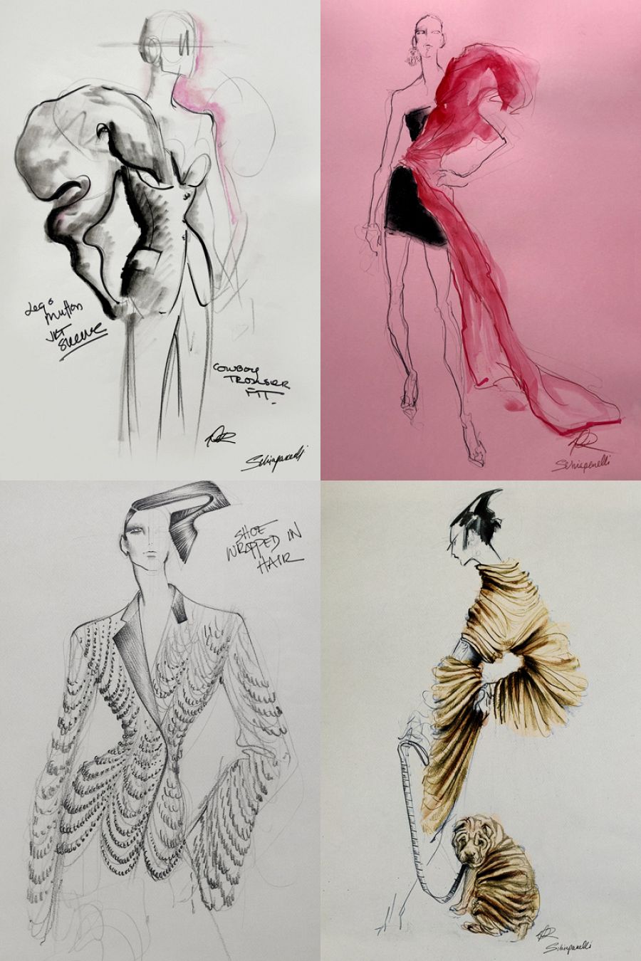 Schiaparelli