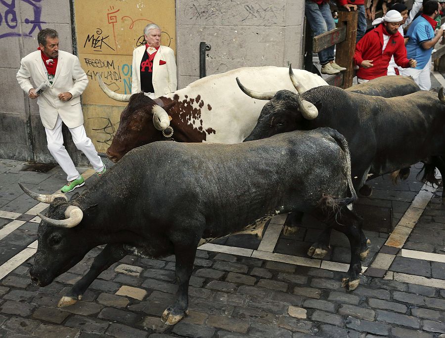 Los toros de la ganadería de Miura, la más asidua en la feria del toro de Pamplona, ha cerrado hoy los encierros de los sanfermines 2015 y han realizado la carrera más rápida
