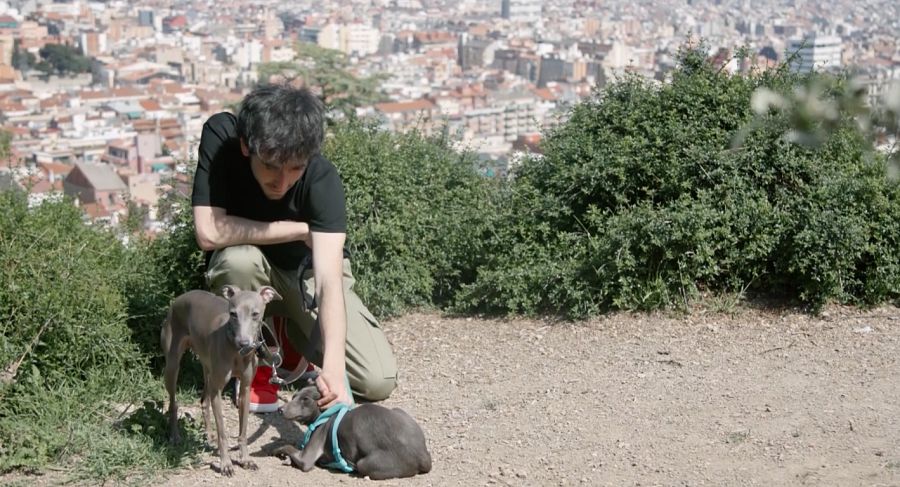 El Martí amb dos llebrers