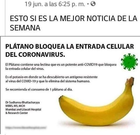 Bulo del plátano y el falso bloqueo celular contra el coronavirus.