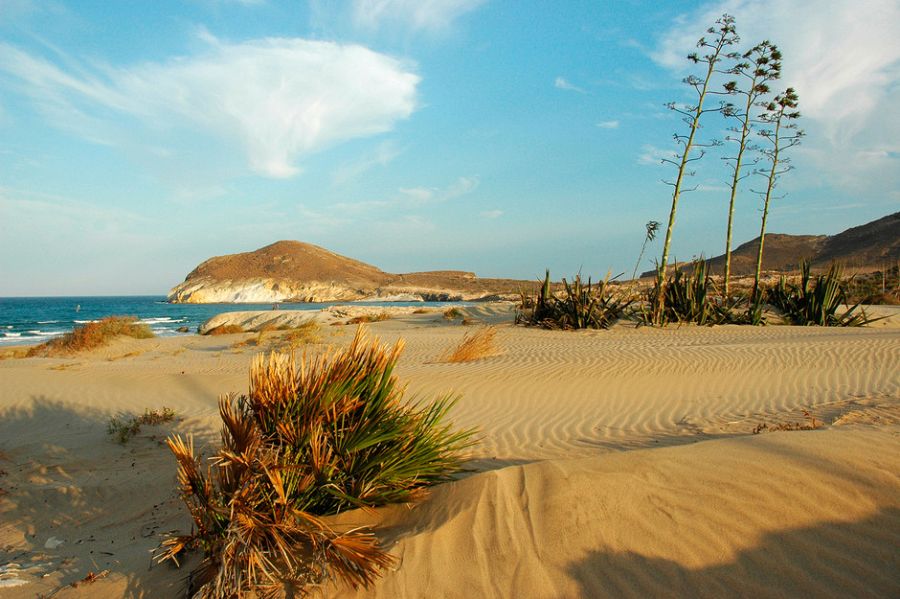 Playa de los Genoveses, Almería