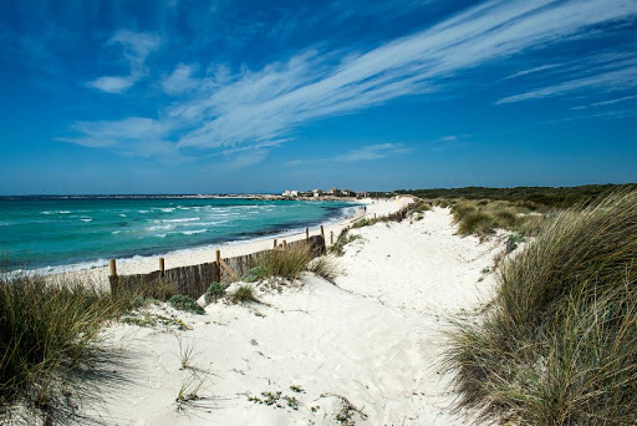 Playa de Es Trenc, Mallorca