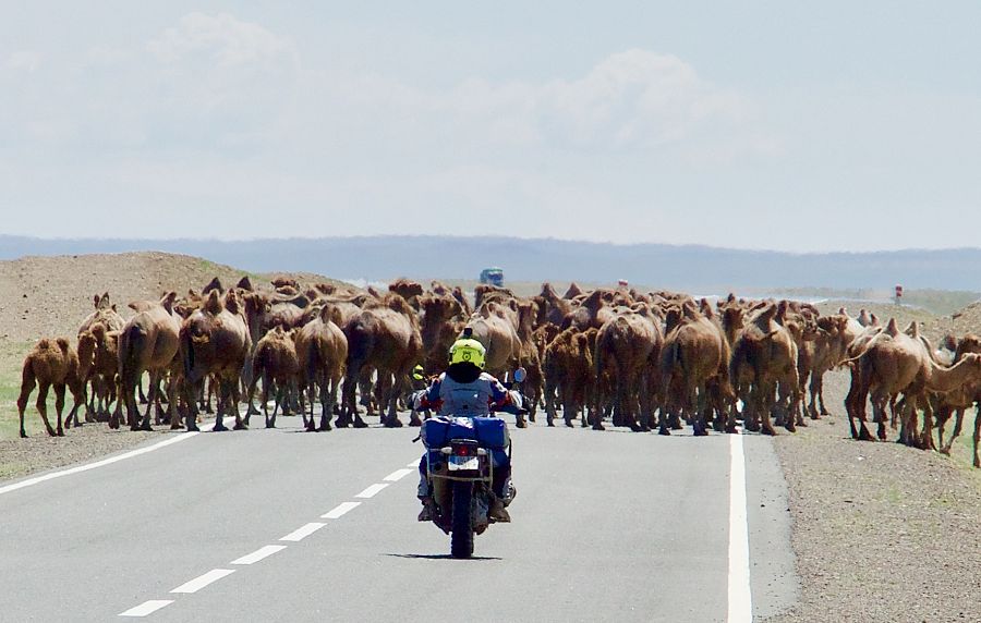 Las huellas del Gengis Khan II, con Miquel Silvestre