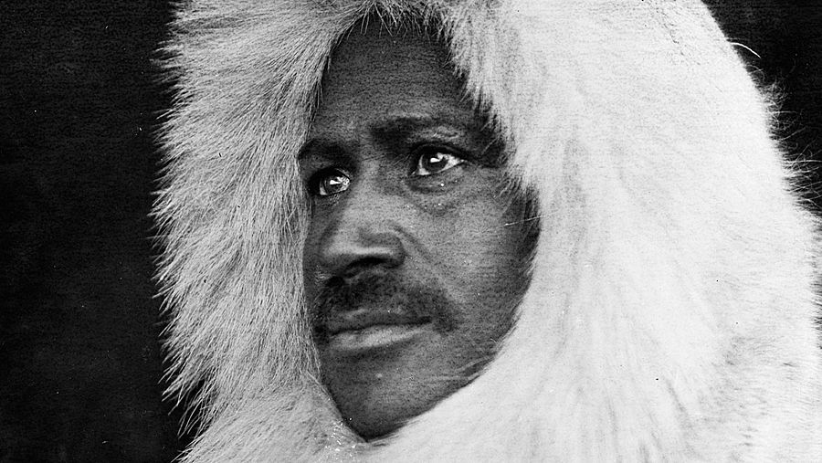 matthew henson web