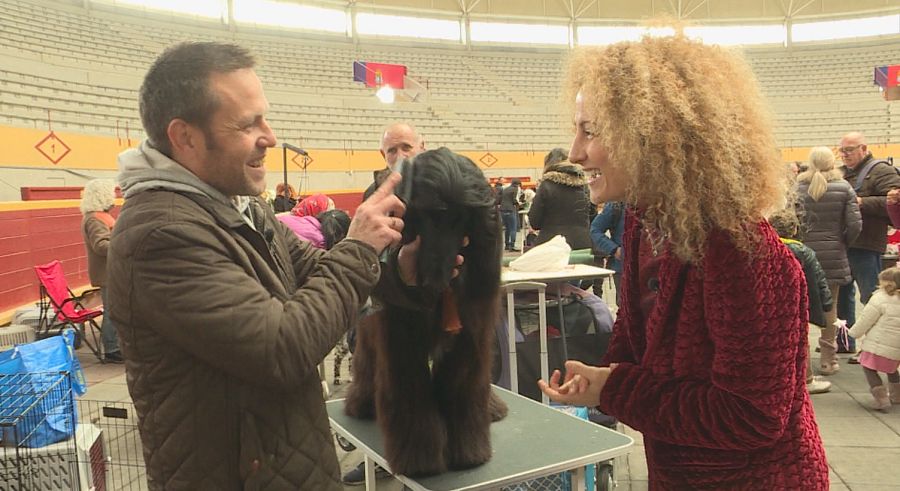 Algunos concursos curiosos