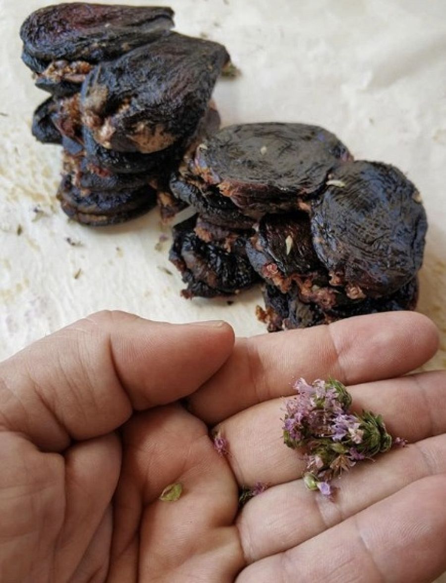 brevas xereques frigola