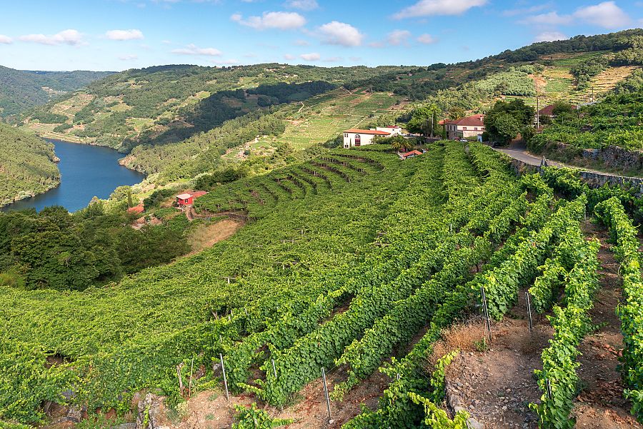 Ribeira Sacra, Lugo