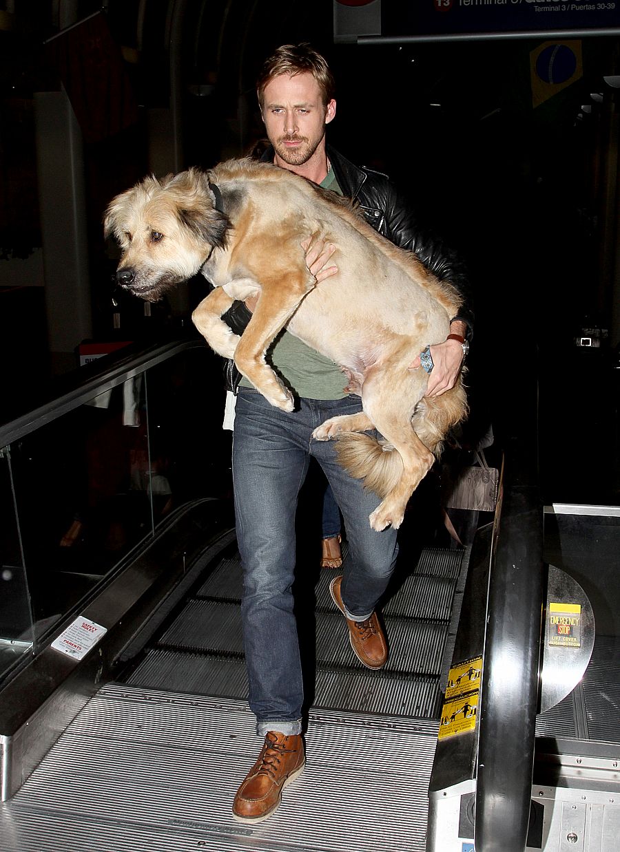 Ryan Gosling con su perro George