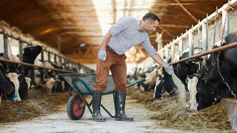 Algunas asociaciones consideran que el nuevo tratado desprotege a los pequeños productores del sector agrícola