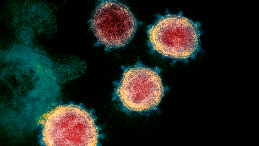 Fármacos contra el coronavirus