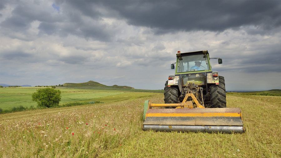 Gestio de guarets arrendats a Lleida
