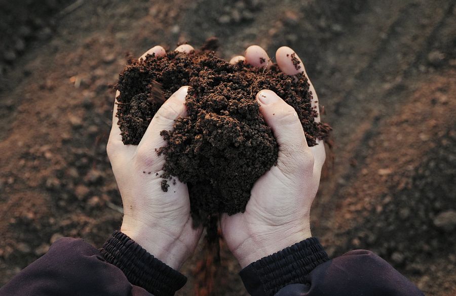 Cómo hacer compost en casa - 10 pasos