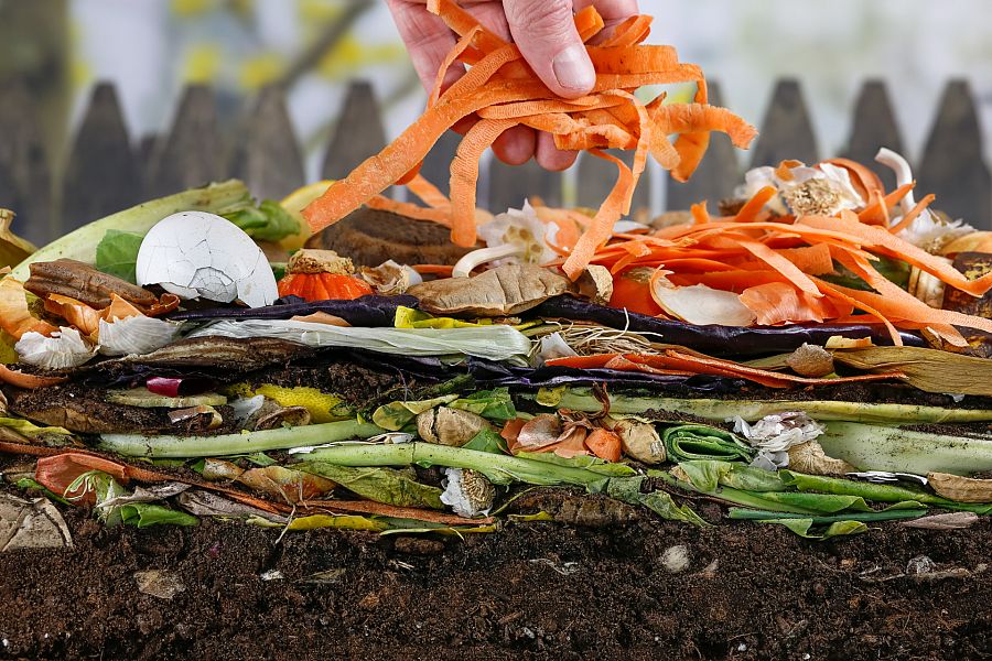 Compost casero: el mejor abono