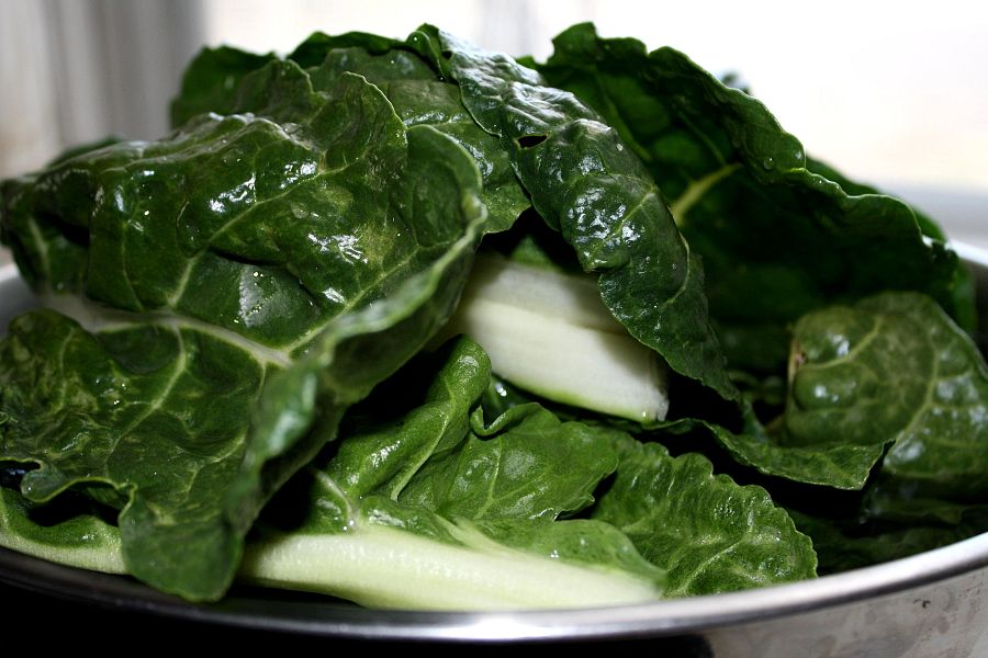 Plato de acelgas frescas