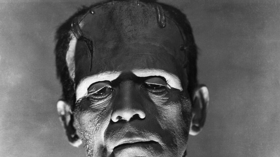FOTO FRANKENSTEIN WEB