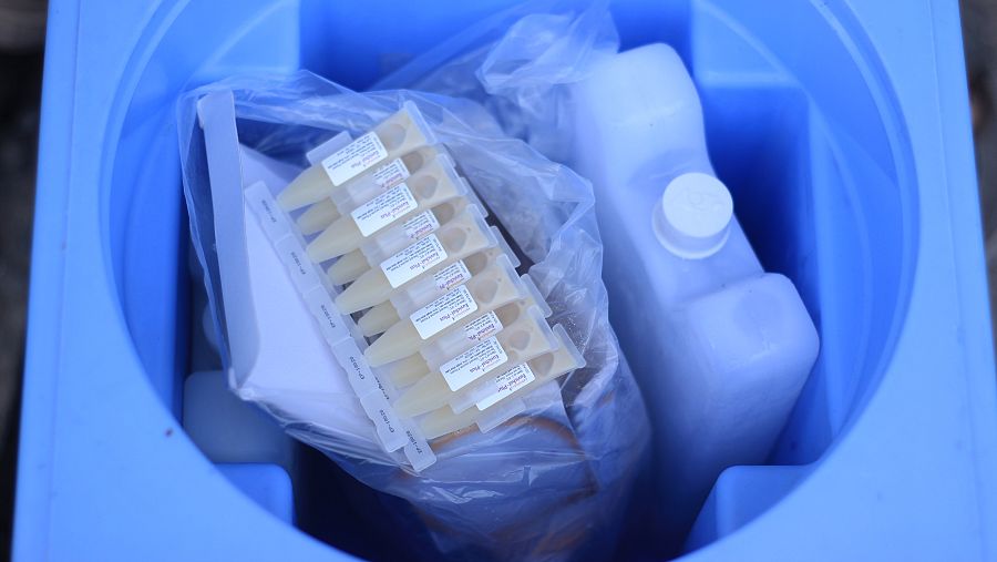 Para los padres, el líquido que se esconde en la nevera azul de los vacunadores es lo más parecido a un tesoro.