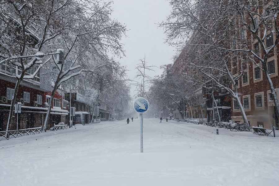 Filomena y sus efectos sobre la ciudad de Madrid