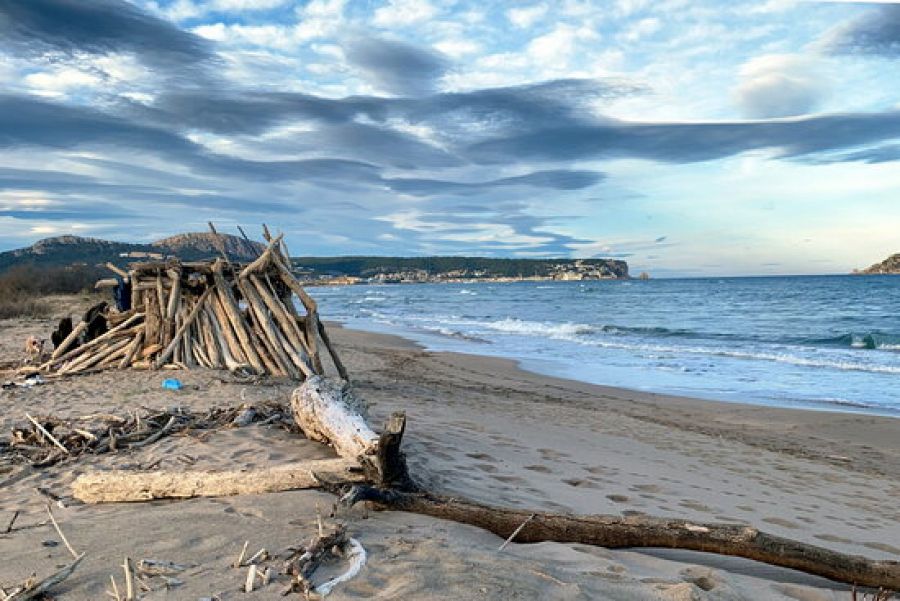 Cabana construïda amb troncs arrossegats pel Gloria, a la Gola del Ter.