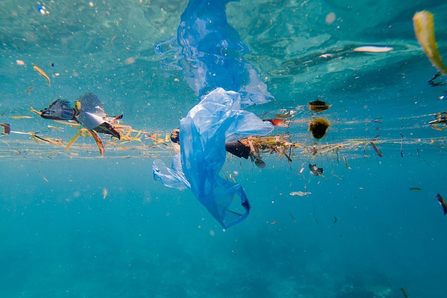 Plásticos en los océanos: un cáncer para el planeta