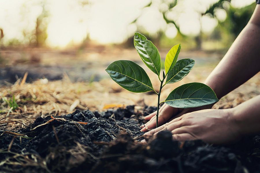 Marcas conscientes con el medio ambiente