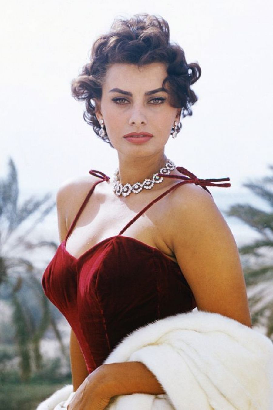 Sophia Loren