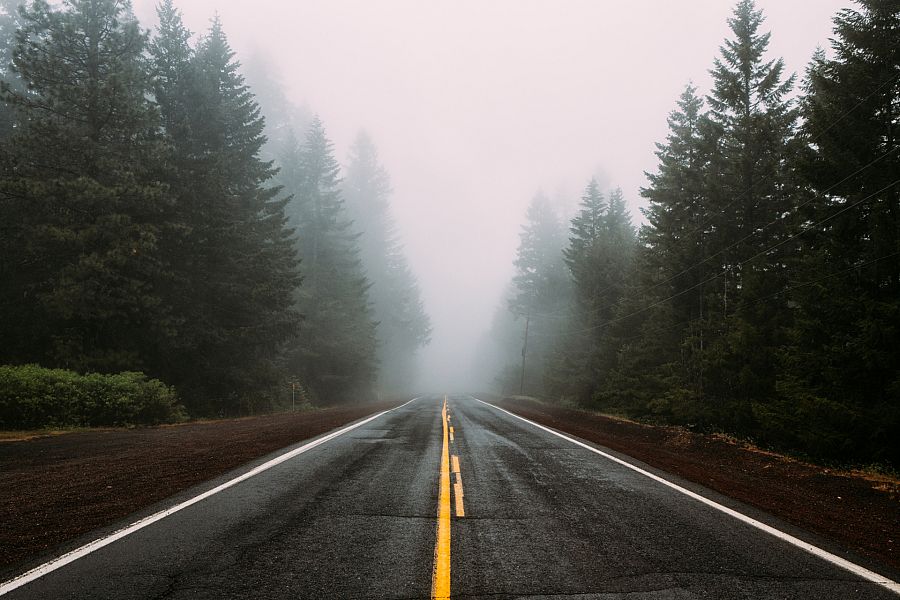 ¿Cómo se forma la niebla?