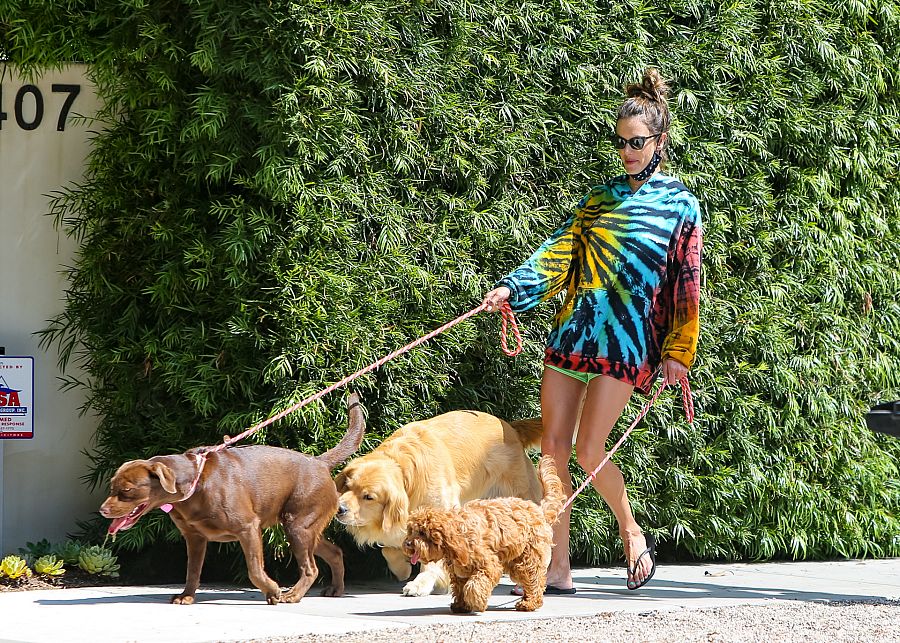 Alessandra Ambrosio y sus perros en Los Ángeles