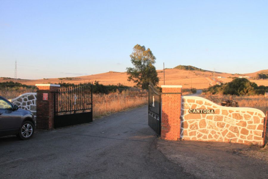 La entrada de Cantora
