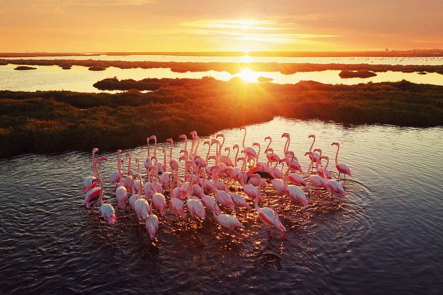 Día Mundial de los Humedales