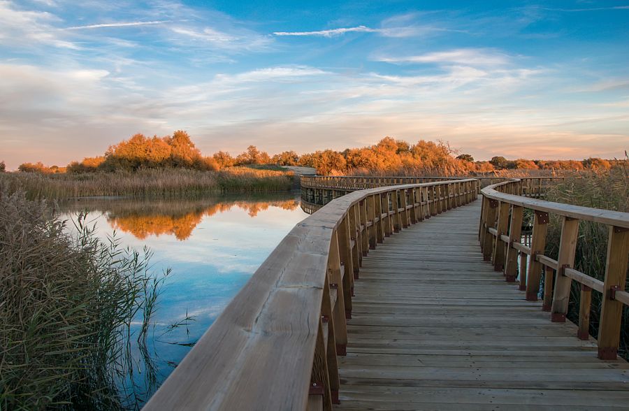 Parque Nacional de las Tablas de Daimiel