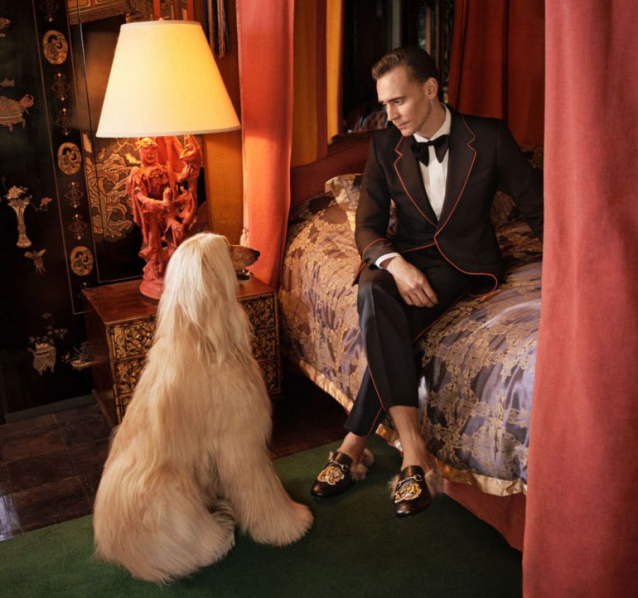 Tom Hiddleston para Gucci