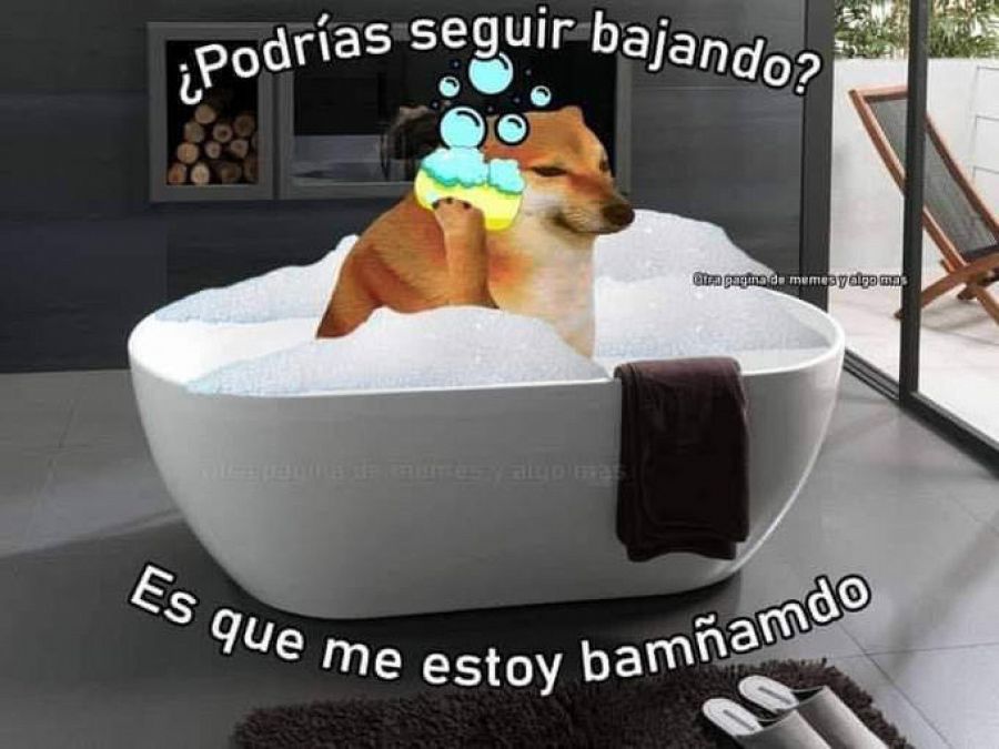 Meme en español de Cheems