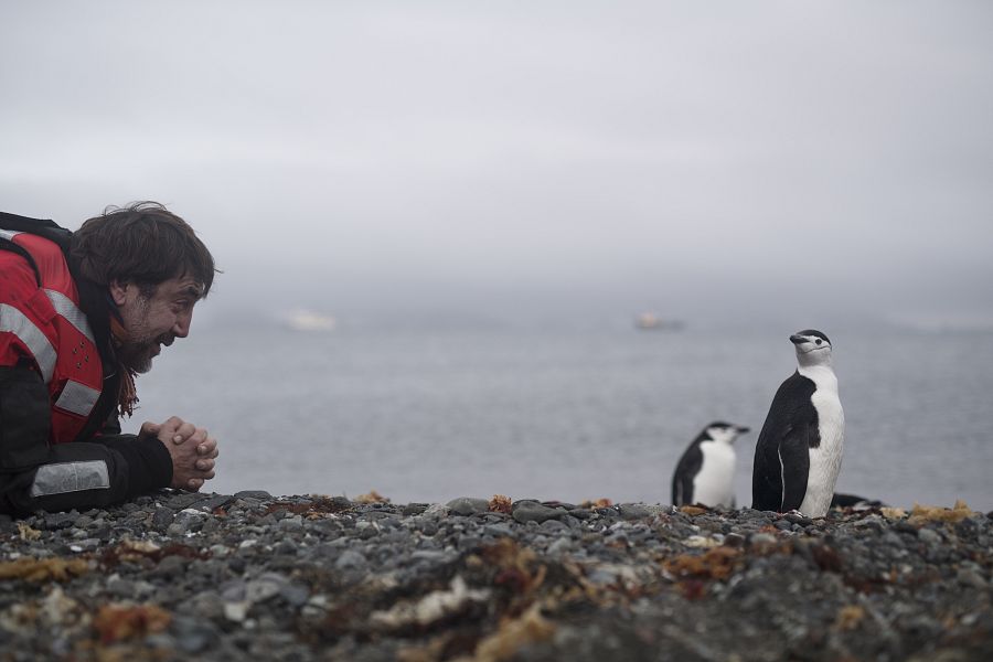 Javier Bardem y los pinguinos de la Antártida