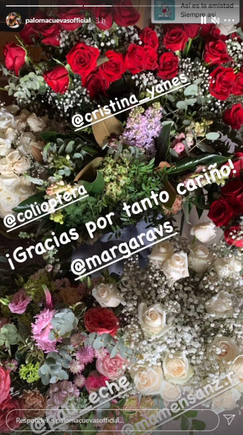 Las flores que Paloma Cuevas ha recibido de parte de sus amigas